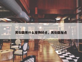 男街霸用什么宠物好点，男街霸加点