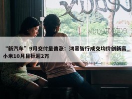 “新汽车”9月交付量普涨：鸿蒙智行成交均价创新高_小米10月目标超2万