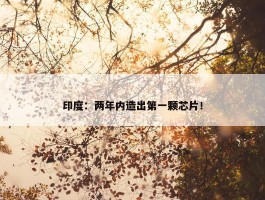 印度：两年内造出第一颗芯片！