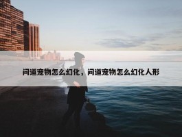 问道宠物怎么幻化，问道宠物怎么幻化人形