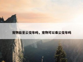 宠物能坐公交车吗，宠物可以乘公交车吗