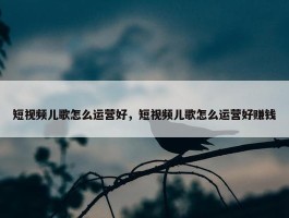 短视频儿歌怎么运营好，短视频儿歌怎么运营好赚钱