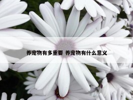 养宠物有多重要 养宠物有什么意义