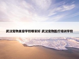 武汉宠物美容学校哪家好 武汉宠物医疗培训学校