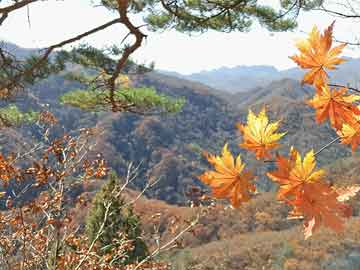 为什么是井冈山而不是别的山，岳麓山和橘子洲在一块吗？