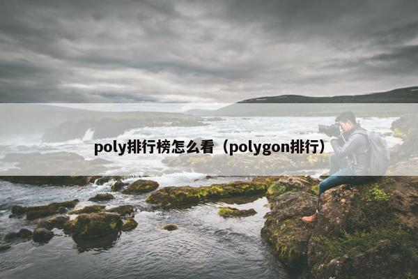 poly排行榜怎么看（polygon排行）