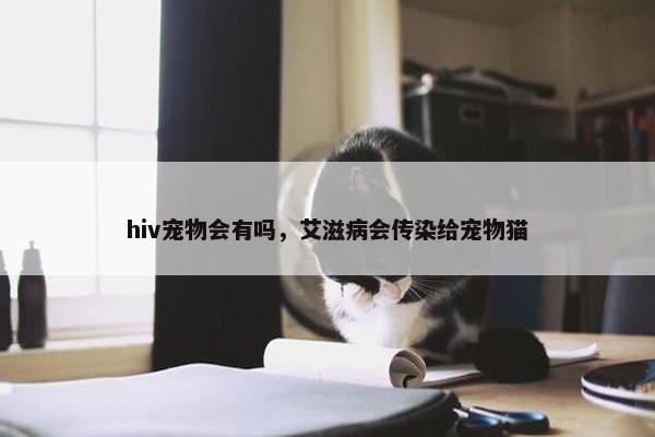 hiv宠物会有吗，艾滋病会传染给宠物猫