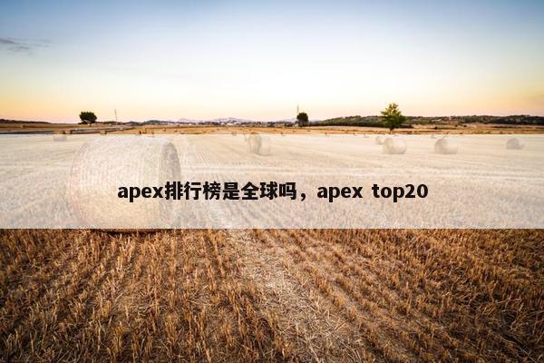 apex排行榜是全球吗，apex top20