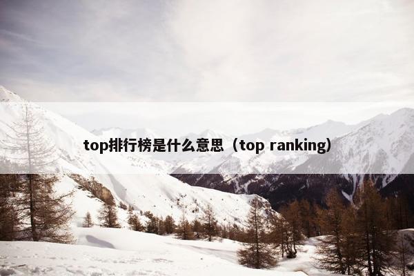 top排行榜是什么意思（top ranking）