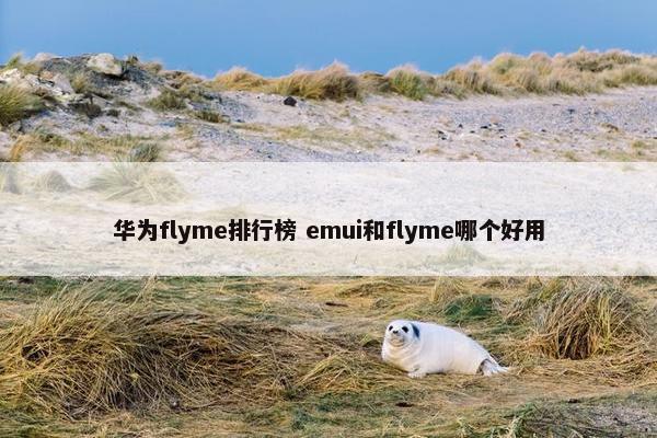 华为flyme排行榜 emui和flyme哪个好用