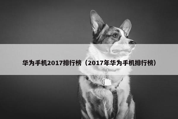 华为手机2017排行榜（2017年华为手机排行榜）