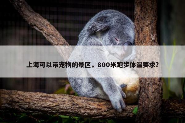 上海可以带宠物的景区，800米跑步体温要求？